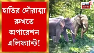 Operation Elephant | হাতির হামলা মোকাবিলায় আলিপুরদুয়ারের জলদাপাড়ায় অপারেশন এলিফ্যান্ট!| Bangla News
