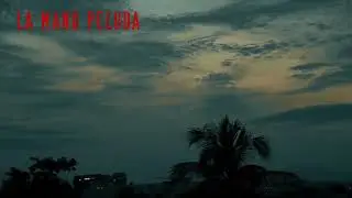 LA MANO PELUDA  - EL CHOFER DEL AEROPUERTO