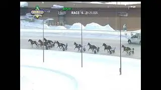 Batavia Downs Gaming & Hotel Live Stream