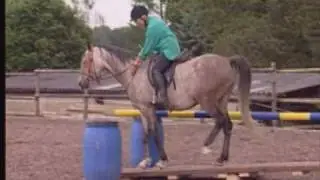 Reiten nach der TTeam Methode | Linda Tellington-Jones