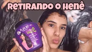 MELHOR FORMA DE TIRAR O HEN&Ecirc; | Faz toda a diferen&ccedil;a