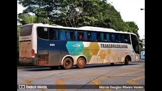 A Hist&oacute;ria da Transbrasiliana: De Pioneira a Gigante do Transporte