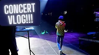 Smurkchella Concert Vlog