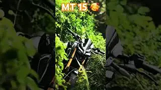 mt 15 are you like means subscribe