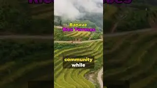 The Marvelous Banaue Rice Terraces #shorts  #philippines #tourismph #travel