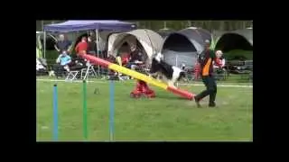 WSC15 05 03 Agi KM B&uuml;ttgen Vorst Pingu