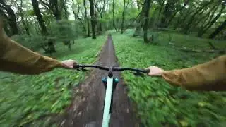 Greasy Run on Alte Rodelbahn with Amel and Drago