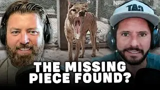 Could This Finally Bring Back Thylacine?
