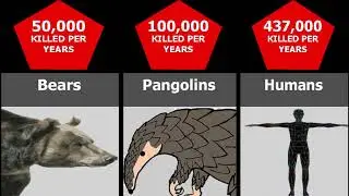 Comparison Human Kill Count