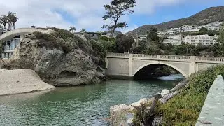 Aliso Creek and Beach w/Mike and Milli 8/15/2025