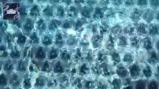 Jan Nemecek - Watered EP (Full EP)