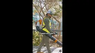 Gachina Landscaping's Plan for the Future​