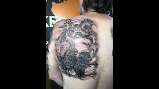 Different Birds Of Prey Tattoo By Inked In Asia Tattoo Studio Patong Phuket Thailand
