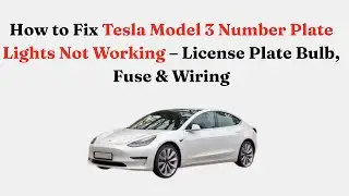 How to Fix Tesla Model 3 Number Plate Lights Not Working &ndash; License Plate Bulb, Fuse & Wiring
