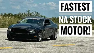 Fastest N/A (stock motor) s197 Mustang 5.0 in FL Vs Lund tuned 10-Speed Auto Mustang 5.0
