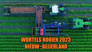Worteloogst 2023 Nieuw-Beijerland met ASA-LIFT
