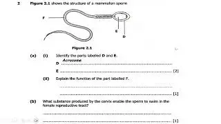 2025 Biology Paper 2 Exam Prediction