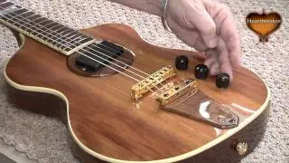 Rick Turner Icon Series Model 1 Part 2