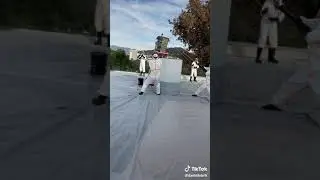 David dobrik world's largest elephant toothpaste science experiment