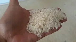 Small scale auto rice mill installed in Indonesia 20 TPD