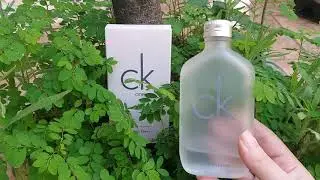 Calvin Klein - Ck One UNISEX (Reseña en español)