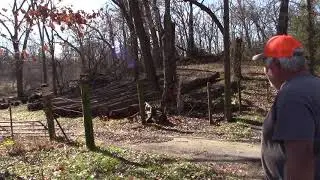 How much could a Walnut Tree be worth - Near Ozark Missouri