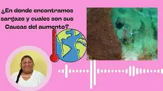 Sargazo en costas de Mahahual e Xcalak, Quinatna Roo.