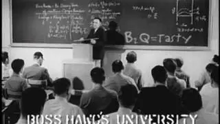 Boss Hawgs BBQ: Research