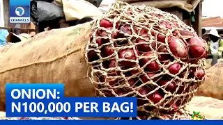 At N100,000 Per Bag, Nigerians Lament Hike In Price Of Onions