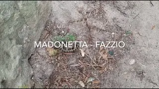 Randonn&eacute;e &agrave; Bonifacio - Madonetta - Fazzio