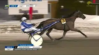HIGH ON PEPPER - 1.14.6 - 2640  Bergsåker Winter Trot 2024
