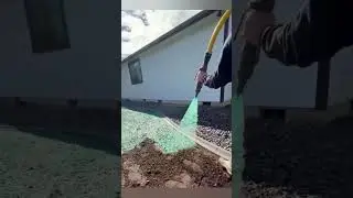 От голой земли до зелёного газона всего за несколько недель! Так быстро растёт трава!