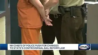 Police chiefs push for changes to bail reform law