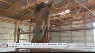 Dove Creek Equine Rescue set to host women's retreat