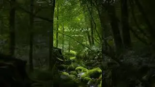 The One Verse That Stops Your Anxiety | Surah Ar-Ra'd an!