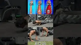 arms excersise #punk #edit #motivation #desihomegym #chestexercises #armsworkout