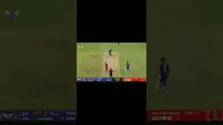 #dilouge