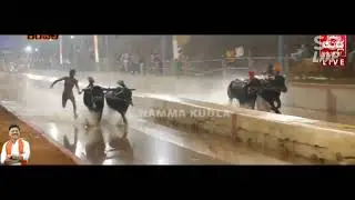 eruvail Panila vs ajjina mogaru||fight race🔥🔥