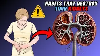 12 Bad Habits That Damage Your Kidneys | Habits That Destroy Kidney | Things That Damage Your Kidney