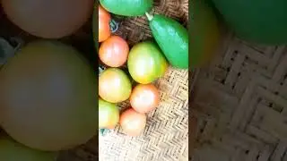 Weekly Vegetables Shopping #music #bollywood #song