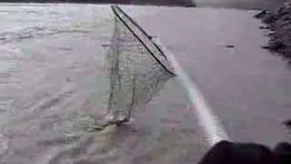 Chitina Dipnetting