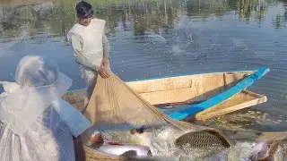 Unbelievable Big Fish Catching by Net | Traditional Boat Fishing