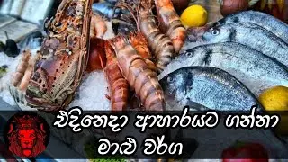 Sea foods fhish real names (අප එදිනෙදා ආහාරයට ගන්නා මාළු )