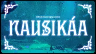 NAUSIKAA | Cinematic vlog