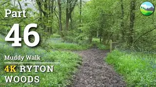 Muddy Ryton Walk - 4K прогулка на природе без музыки, часть 46
