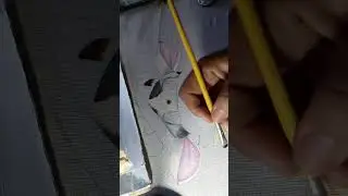 vaquinha e suas manchas .