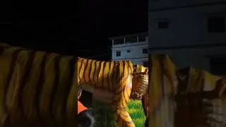 Navaratri ustava