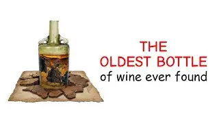 The 1,700-Year-Old Wine: Would YOU Drink It?