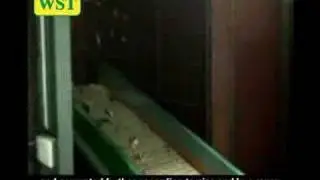 Waste Solutions Technology, The Future of Recycling