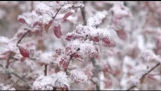 Rime Ice Creates Fairytale Landscape in N China